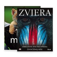 Obrázek Obecně o zvířatech