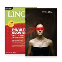 Obrázek Elektronické knihy