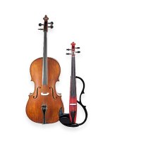 Obrázek Smyčcové nástroje