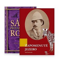 Elektronická beletria